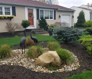 Landscape Design